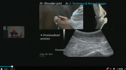 thumbnail for The Proximal Forelimb & Neck Connection 2026